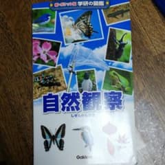 自然観察のサムネイル