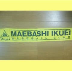 【値下げ】前橋育英高校　野球部　応援タオルのサムネイル