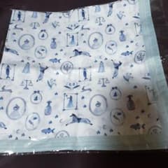 Handkerchief Blue Magic Book Fragments of a Story kin.iro.hitode