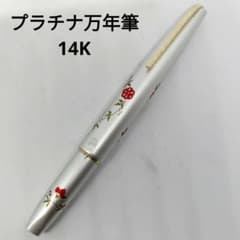 m66705242363_1.jpg?1755228498