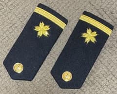 米海軍 VAQ-136 Gauntlets パッチセット | Shop at Mercari from Japan