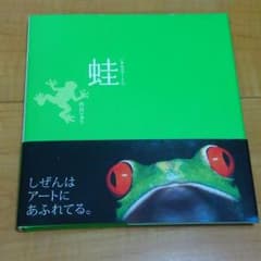 ★専用★【美品】カエル写真集「蛙」／カエルグッズ／本／送料込のサムネイル
