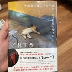 表参道のセレブ犬とカバーニャ要塞の野良犬のサムネイル