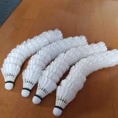 バドミントンシャトル中古！のサムネイル