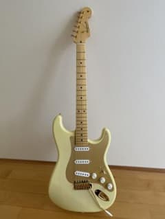 vanzandt stv-r1 ブロンド・アノダイズドピックガード vanzandt stv-r1 ブロンド・アノダイズドピックガード - メルカリ