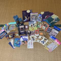 ホテルハイタワー　シンデレラ城ミステリーツアー　その他ディズニーまとめ売りのサムネイル
