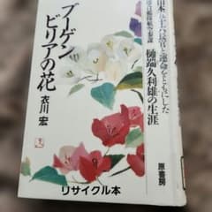 부겐빌리아 꽃 야마모토 56장관과 운명을 함께 한 히타바타 쿠리오의 평생 이가와 히로시