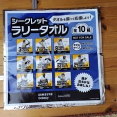 福岡ソフトバンクホークス シークレットラリータオルのサムネイル
