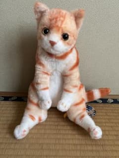 すわっちぃZooにゃんこ３　アメリカンショートヘアーのサムネイル