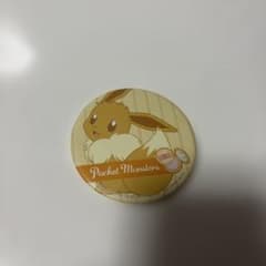 Pokémon Eevee Can Mirror