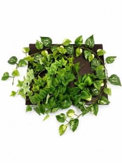 爬虫類 人工観葉植物 レイアウト素材 3種セットのサムネイル