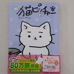 猫ピッチャー 11のサムネイル