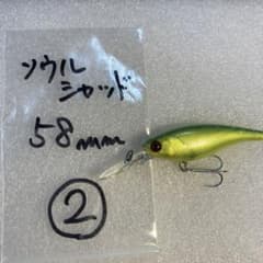 ❤️バス釣りBASSフィッシング　　　　　 爆釣ルアー　めちゃくちゃ釣れます。のサムネイル