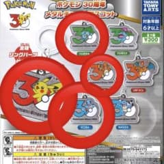 ポケモン30周年 メタルチャーム ピカチュウ フシギダネ ヒトカゲ