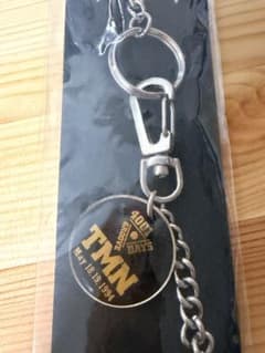 TM NETWORK TMN 4001Days Groove キーチェーンのサムネイル