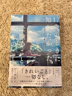 17歳のときに知りたかった受験のことと人生のこと。 びーやまのサムネイル
