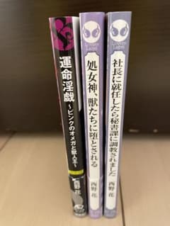 西野花　BL小説　3冊せセットのサムネイル