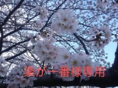 楽が一番様・わんこ様専用、宮野コロッタのサムネイル