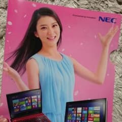 武井咲 非売品クリアファイルのサムネイル