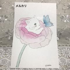 原画 水彩画 猫 花 蝶々 ポストカード アナログイラスト 特厚口 - メルカリ