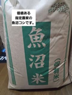 2025年産　新米十日町産、魚沼こしひかり 2025年産 新米十日町産、魚沼こしひかり - メルカリ