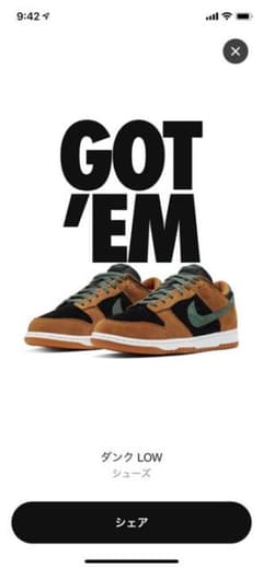 nike sb dunk lowのサムネイル