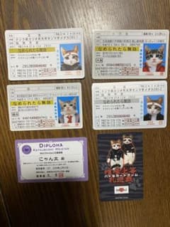 なめ猫　免許証のサムネイル