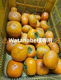 ⚠️Watanabe様専用⚠️のサムネイル