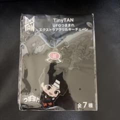 Tinytan UFO 츠마마리 엑스트라 아크릴 키 체인 진