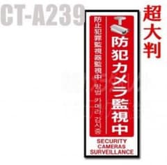 超大判多言語対応・防犯ステッカー（防犯カメラ監視中［縦型：赤］）のサムネイル
