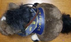 ぎゅなさん専用 シンボリルドルフのサムネイル