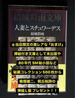 絶版】SMマニア95年12月～96年3月 ダッチロール 結城彩雨(楡畑雄二 