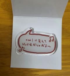&TEAM Nicholas 니콜라스 Mark on You 아크릴 링