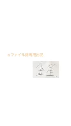 nファイル様専用出品のサムネイル
