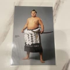 大相撲　白鵬　翔　ポストカードのサムネイル