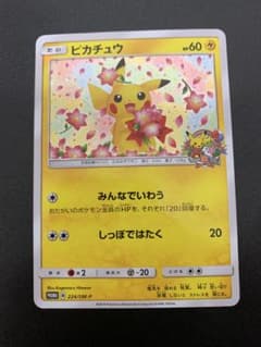 ピカチュウ：ポケモンセンター20周年記念キャンペーン PROMO SM-P