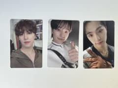 ディノ トレカ まとめ売り FMLのサムネイル