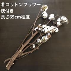 ⑨ コットンフラワー 綿の木 綿花 ドライフラワー 自然素材 枝付き 1束
