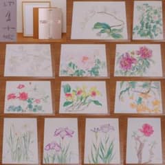 中島千波　花の写生１２葉　絵画　 12枚セット　求龍堂 中島千波 花の写生12葉 絵画 12枚セット 求龍堂 - メルカリ
