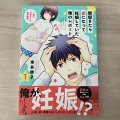 朝起きたら妻になって妊娠していた俺のレポート1-4のサムネイル