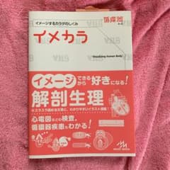 【即購入可】イメカラ : イメージするカラダのしくみ 循環器のサムネイル
