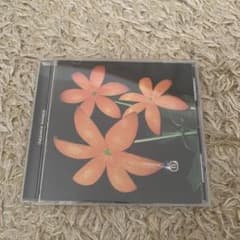 花のサムネイル