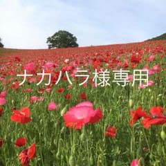 ナカハラ様専用♡のサムネイル