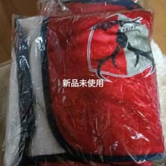 鹿島アントラーズホーム開幕戦で配布のブランケット 26年2月14日入手。のサムネイル