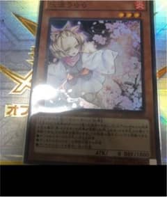 遊戯王 灰流うらら 2枚 みさと様専用のサムネイル