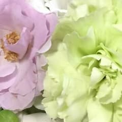 のっ！様 専用のサムネイル