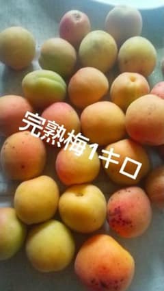 完熟梅 1kgのサムネイル