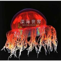 本 "深海世界"のサムネイル