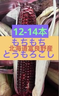 モチモチとうもろこし秀品12〜14本北海道富良野産のサムネイル