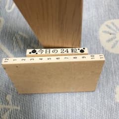 藤本さきこ　時間軸スタンプ　今日の24粒のサムネイル